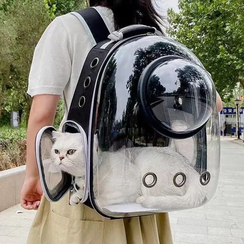Breathable & Portable Transparent Carrying Bag for Cats and Puppy Dogs